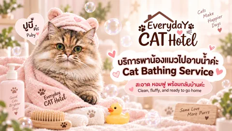 บริการพาน้องแมวไปอาบน้ำและตัดขน Everyday Cat Hotel กรุงเทพฯ